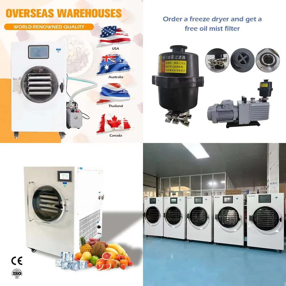 

6Kg 8Kg 10Kg 12Kg 20Kg Per Batch Medium Vacuum freeze dryer Hine With Oil Free Pump