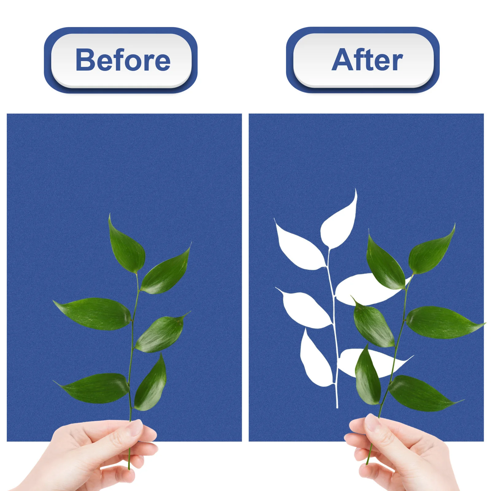 

1 set Paper A5 Sun Sensitive Cyanotype Diy Kit Solar Drawing Craft Supplies For Adults Sun Art Paper