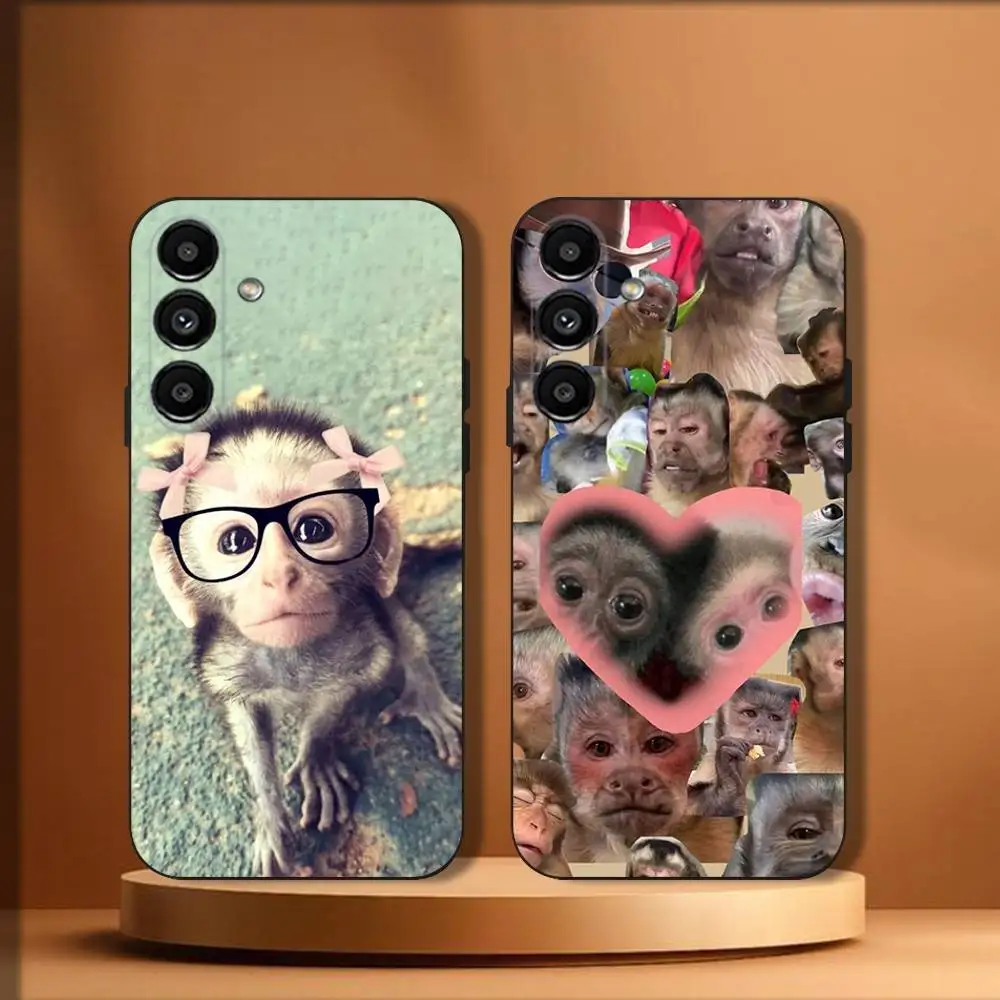 

Monkey Memes Phone Case For Samsung Galaxy A20,A21s,A22,A31,A32,A52,A53,A72,73,A80 Soft Black Cover