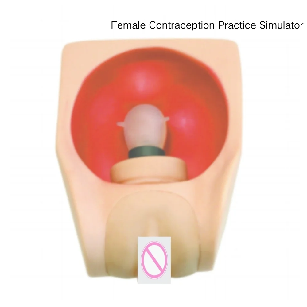 Female Contraception Practice Simulator Medical Science contraception guidance education Skill Operation IUDsTraining Model Supp