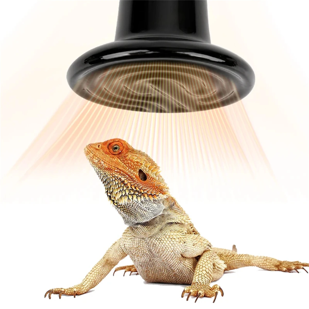 4개입 220-240V 파충류 애완동물용 세라믹 히팅  - Ceramic Heat Emitter 리뷰 및 가격