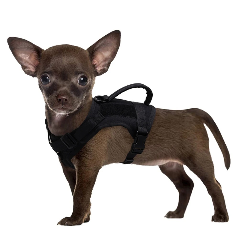 Small Dog Cat Tactical Military Harness Pet Puppy Vest Harness Bungee Leash with Handle For Small Medium Large Dogs Chihuahua