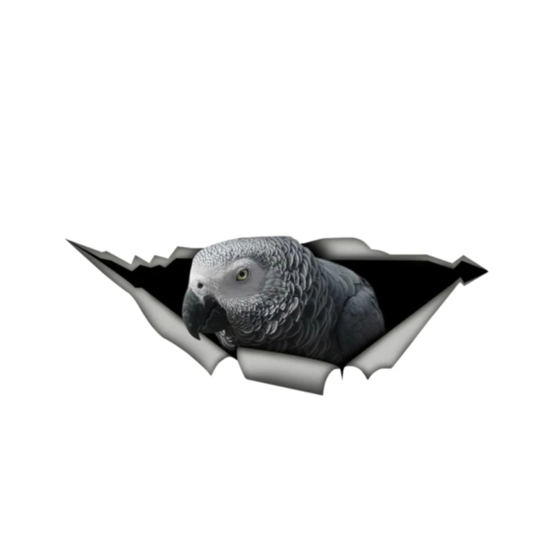

Jpct African Grey Parrot Tear. Tear. Cute. Car Stickers. Portable Motorcycle Auto Parts PVC, 13cm - 5cm Anime Car Accessories