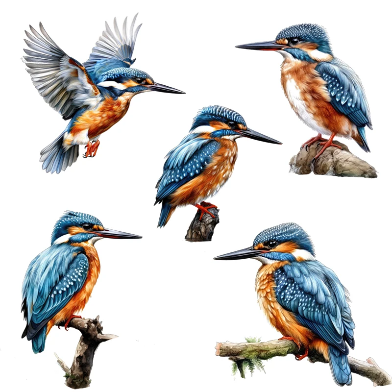 Three Ratels QN44 beautiful Alcedo azurea animal stickers for home decoration Furniture stickers Toilet decals car hood decals