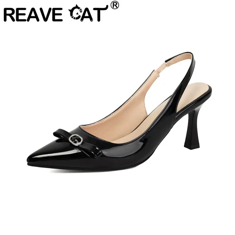 REAVE CAT Apricot Women Sandals Pointed Toe 8.5cm Thin Heel Slip On Back Strap Belt Buckle Plus Size 47 48 49 Sexy Wedding Shoes