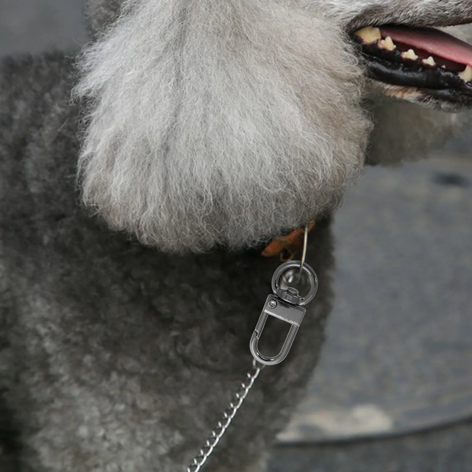 

8Pcs Small Swivel Lobster Clasps Alloy Keychain Connectors for DIY Key Rings Charm Bracelets Bag Tags and Craft Jewelry Supplies