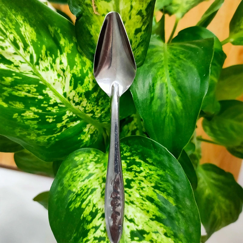 F92B Parrot Feeding Spoon Stainless Steel Feed Manual Metal Feeder Tool