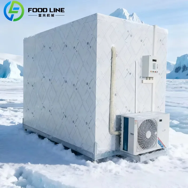 Custom Cold Storage Cool Room Refrigeration Unit Food Container Snacks Meat Freezer Cold Unit For Commercial Use