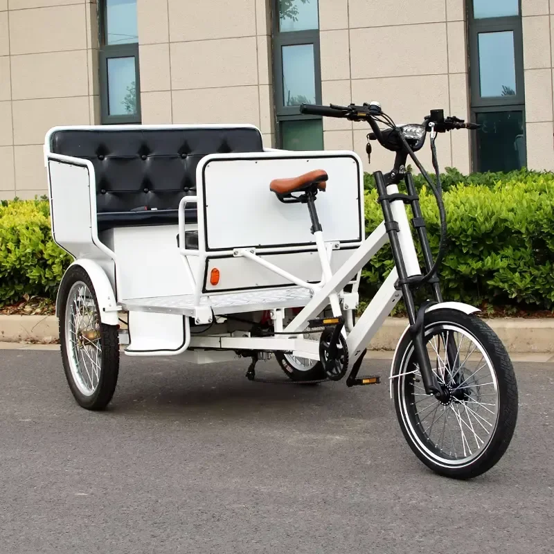 Adult Cargo Tricycle Three Wheel Pedal Bike Heavy Duty Freight Trike for Delivery Transport Utility Rickshaw with Large