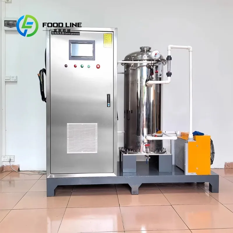 Customized Factory Price 1000g Industrial Ozone Generator High Concentration Water Treatment