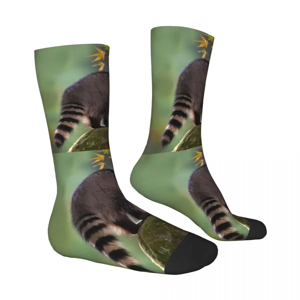 Raccoon Sock Printed Man Polyester