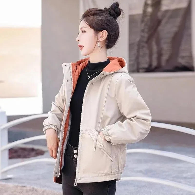 

Зимняя трендовая женская парка с цветными блоками 2025, утепленная хлопковая куртка в стиле милитари на флисовой подкладке для улицы