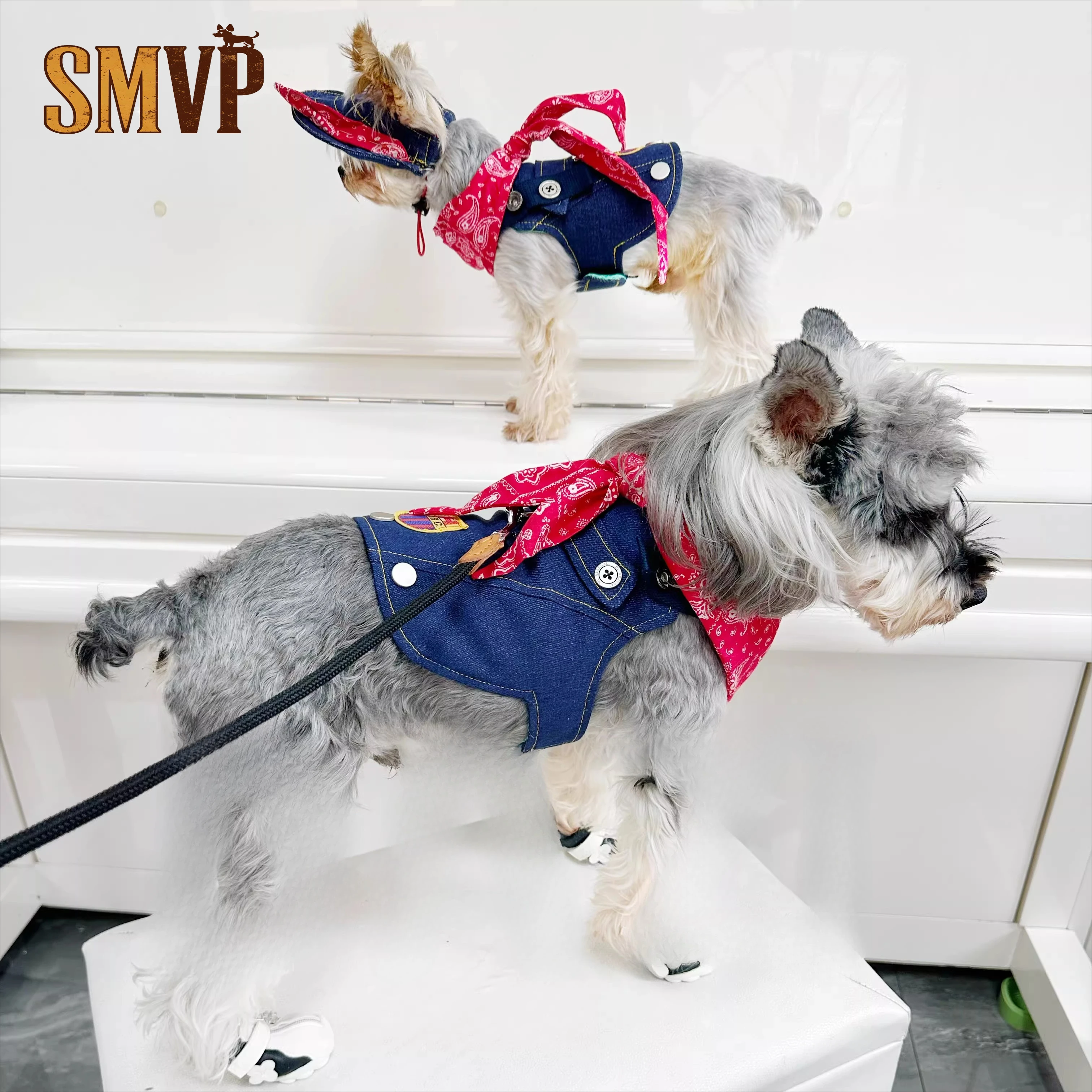 

Spring and Summer Trend Denim Dark Blue Locomotive Wind Vest Square Towel Decoration Pet Small Dog Clothes Do Not Contain Hats