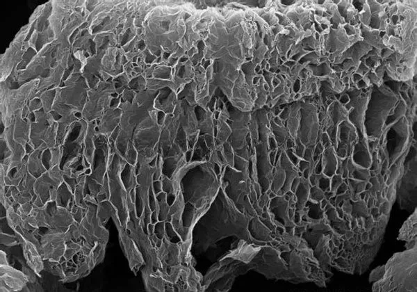 

COF&1,4-Pentadiyn-3-one, 1,5-bis(trimethylsilyl)-