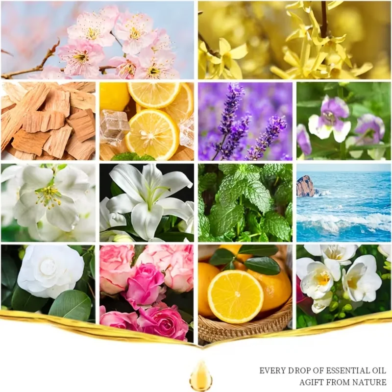 3Pcs Plant Essential Oil (Lavender+Jasmine+Orange) 10ml Per Bottle, Suitable For Body Massage Care