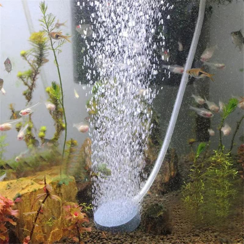 2Pcs Round Air Stone Disc Oxygen Diffuser for Aquariums, Buckets, Small Ponds & Hydroponic Tanks