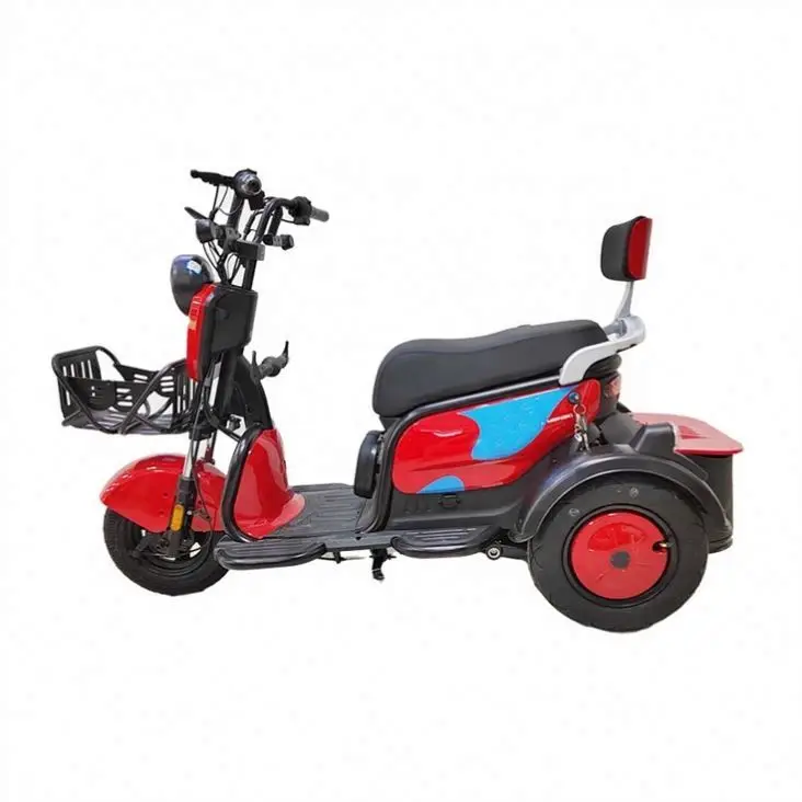 In Low Price 70Km 3 Wheel Cargo E-Trike Drift From China