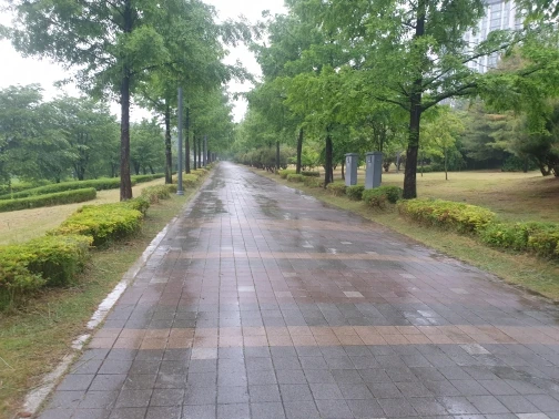 리뷰 사진