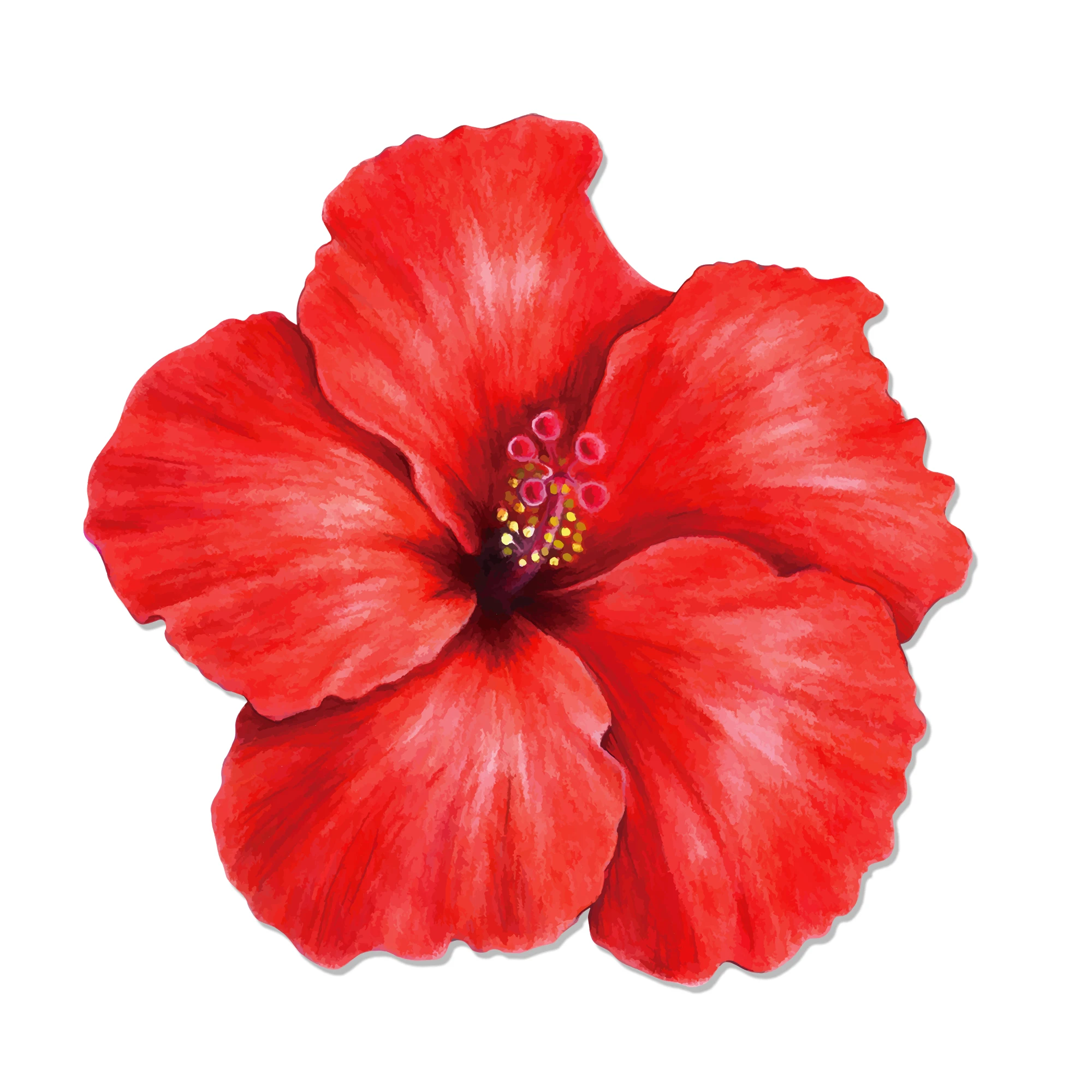 Hawaiianisches Thema, Partygeschenke, Brillen, lustige Sonnenbrille, Requisite, Essen, Tablett, hawaiianische Blumen, Tischset, Strand, Sommerparty-Dekorationen – Detail 11