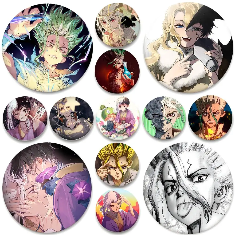 TV Anime DR STONE Abzeichen Runde Abzeichen Weißblech Münze Brosche Kleidung Rucksack Zubehör Anstecknadel