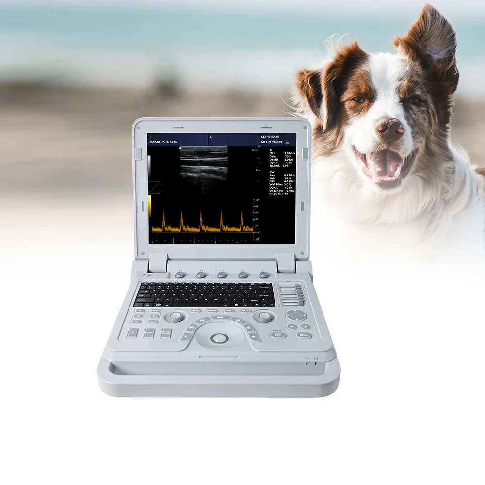 CONTEC CMS600P2PLUS-VET Vet Cheap Veterinary Ultrasound Machine Color Doppler Machine