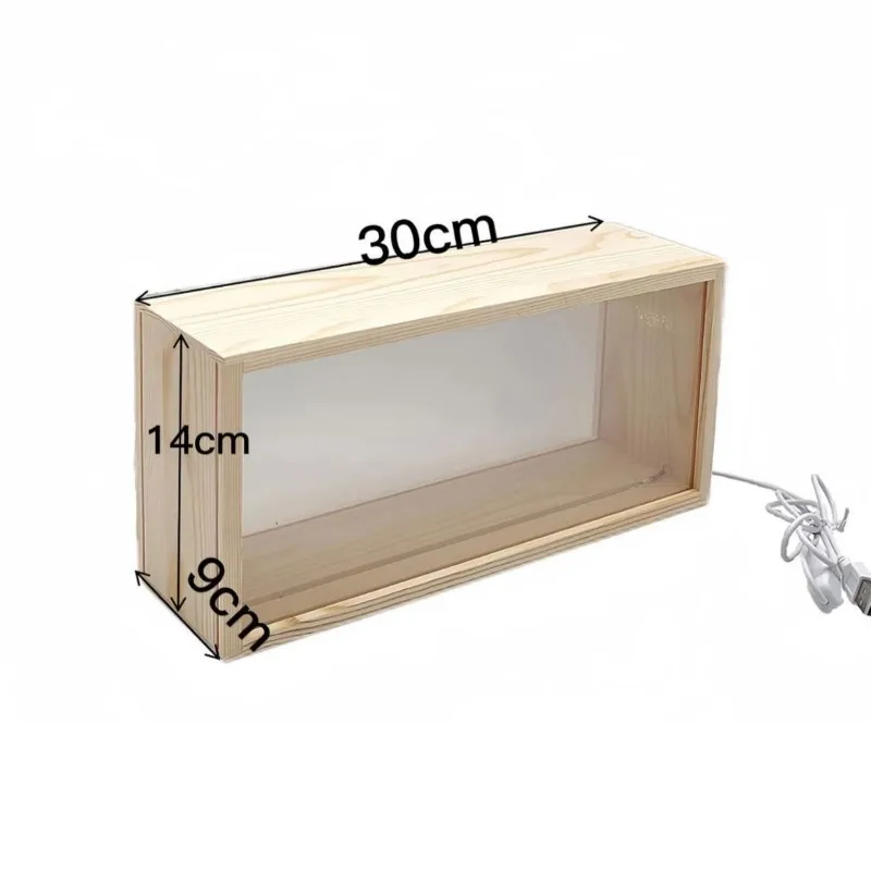 3D Shadow Box 5 Wooden Dried Flower Photo Frame with  Night Light Emitting Diode Character Display Box