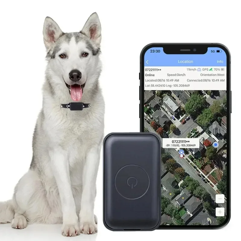 Traqueur GPS pour animaux de compagnie, collier de localisation réglable, appel en temps réel, localisateur GPS télécommandé pour chats et chiens, AGPS