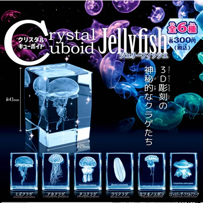 

Genuine Gashapon Capsule Toys Jellyfish 3D Crystal Cuboid Rocks Tank Aquarium Figure Miniature Item 4.3cm Model Creative Gift