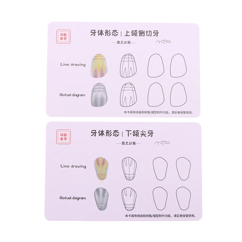 

Dental Composite Filling Practice Board Model Teeth Template Restoration Cavity Dentist Anterior Posterior Practise Resin Stack