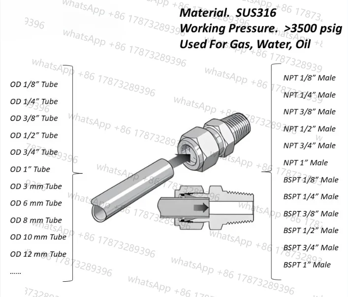 316 Stainless Steel Double Ferrule Compression Connector Male NPT BSPT 1/8 1/4 3/8 1/2 Pipe Fitting Water Gas replace Swagelok