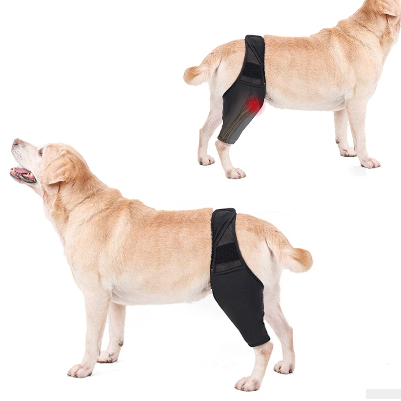 Dog Elbow Protector Joint Knee Pad Leg Injury Protection Post-operative Recovery Elbow Brace Fixed Leg Straps Pet Supplies