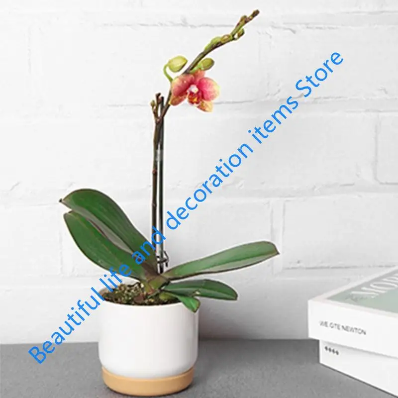 

XX9B High Strength Flower Pots Imitation Ceramic Plastic Plant Pots Flower Pot