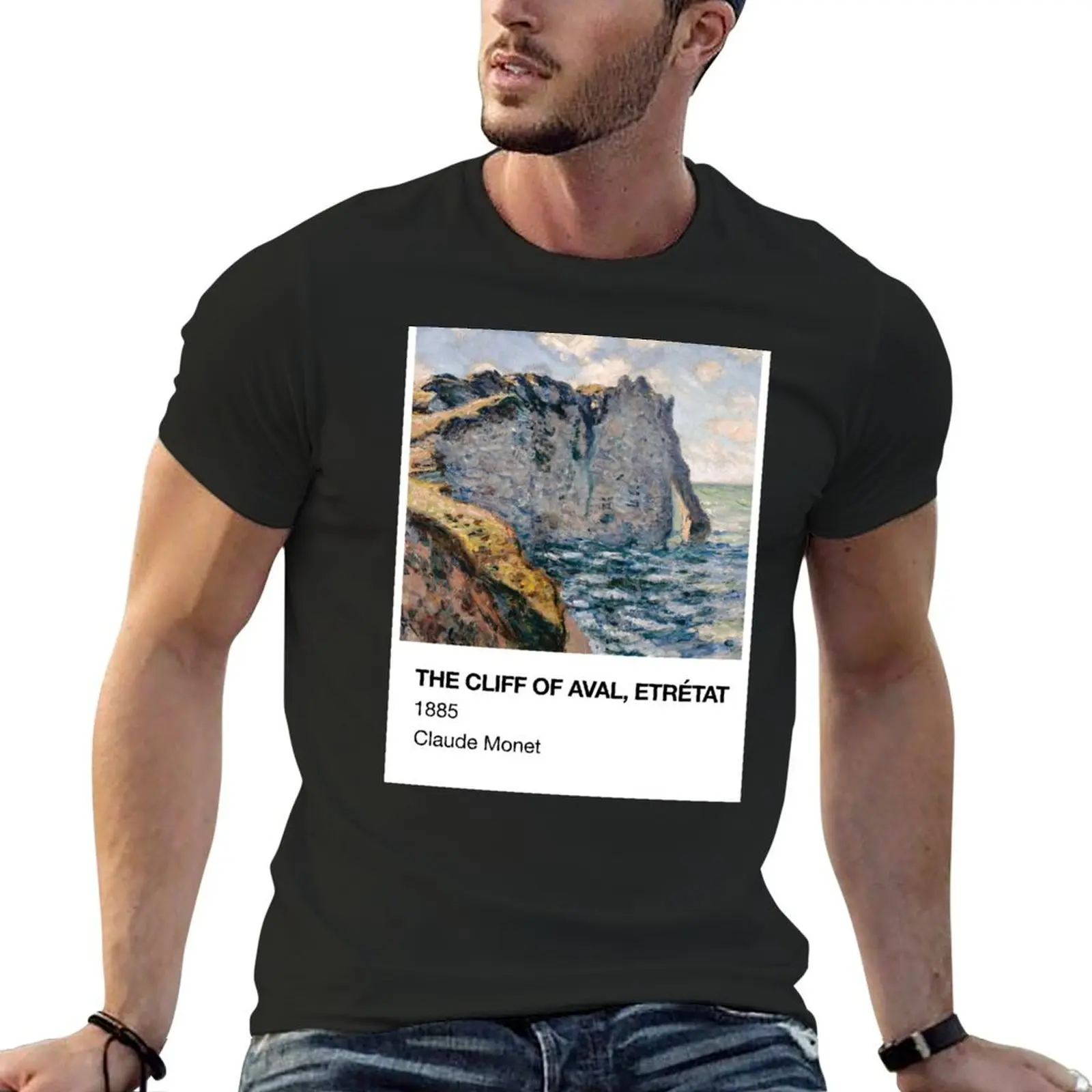 The Cliff of Aval Etretat Claude Monet Pantone Card T-Shirt blanks plus sizes graphic t shirt vintage Men's t-shirts