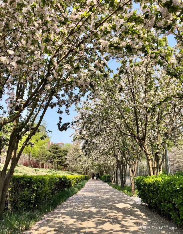 

4pcs 1.0" Metal Beadlock Wheel Tire Set For 1/18 RC Crawler Car TRX4M SCX24 Upgrade Parts Accessories