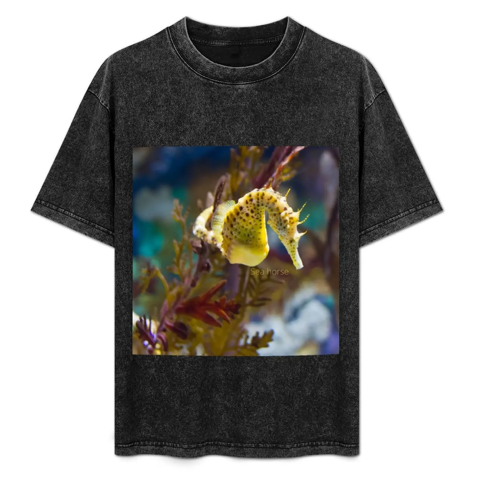 

Sea horse T-Shirt Casual Lightweight Short Sleeve Top