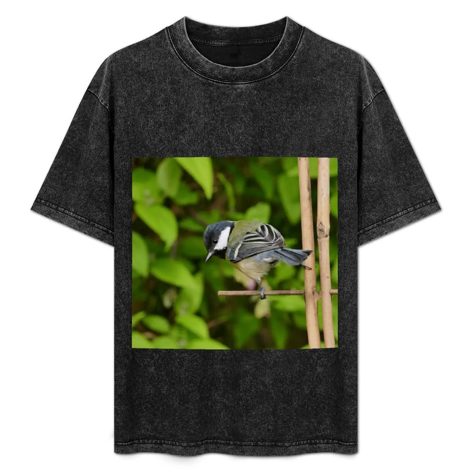 r3350/ New finition 2021: Les Oiseaux de mon Jardin Okaio Créations Olavia-Olao T-Shirt oversized t shirt luxury clothes men