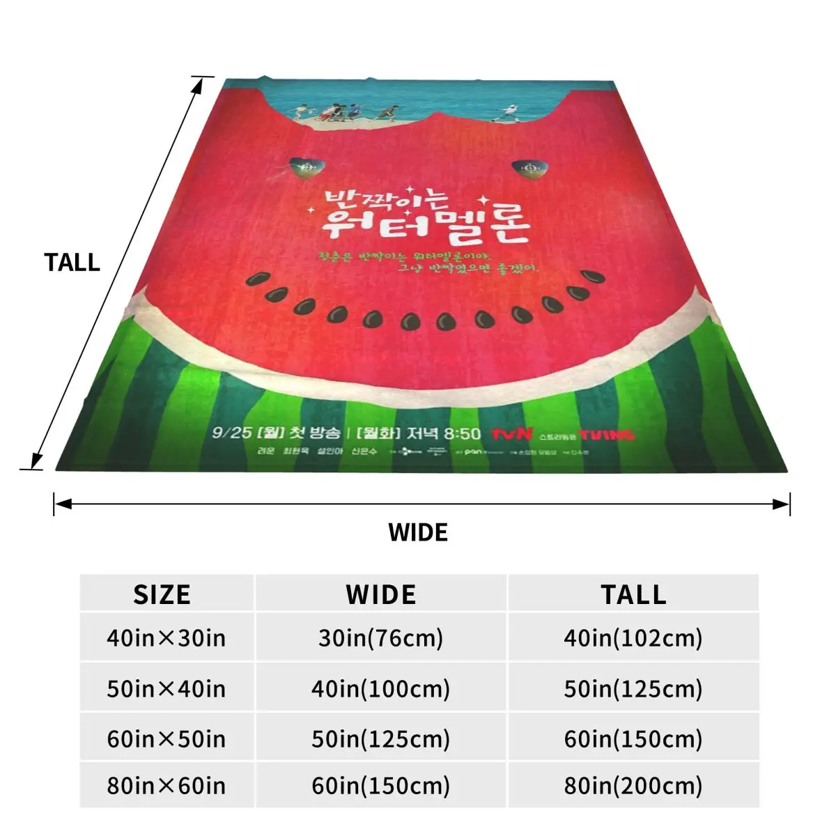 Vintage Twinkling Watermelon Graphic Blanket Soft Warm Flannel Throw Blanket Plush for Bed Travel Home Sofa