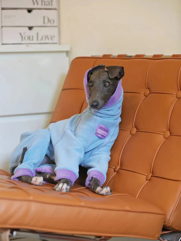 Fashion Italian Greyhound Clothing Whippet Jumpsuit Dog Clothes Warm Greyhound Jammies Whippet Fleece Turtleneck Sweatshirt