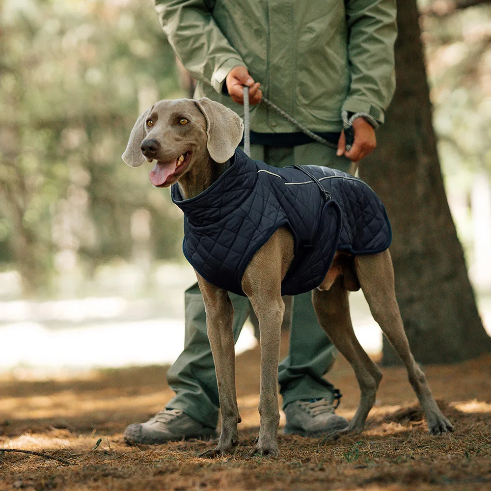 Dog Outdoor Jacket Waterproof Dog Clothes Vest Winter Warm Cotton Dogs Clothing for Large Middle Dogs  Labrador red black
