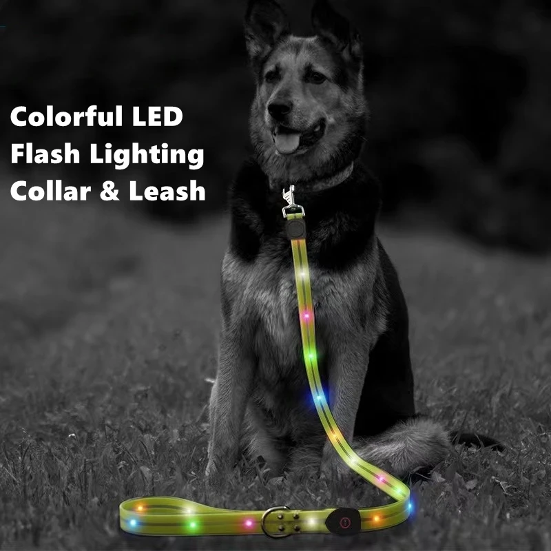 LED Dog Leash & Collar Set Waterproof Reflective Nylon Rope & Rechargeable USB Flashing Light for Night Safety Walking Pet Leash