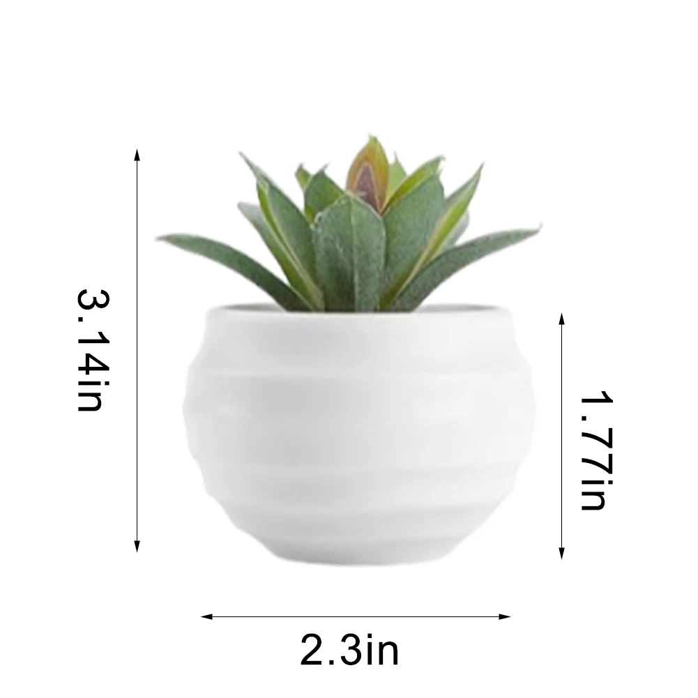 

Set of 6 Faux Succulent Plants Designed for Home and Office Decoration Adding Lifelike Greenery Without Any Maintenance