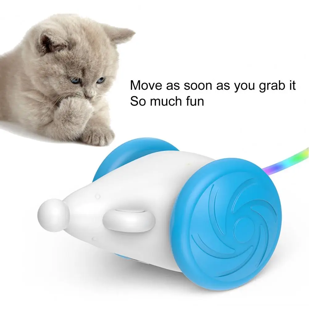 

1 Set Cat Toy Automatic Toy with Colorful LED Lights USB Rechargeable Smart Electric Toys Interactive Toy Pet Supplies