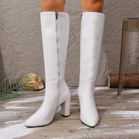Women Knee High Boots 2025 Winter Fashion Pointed Toe  Side Zippers Elegant Sexy High Heels Women's Knight Boots - Image 2