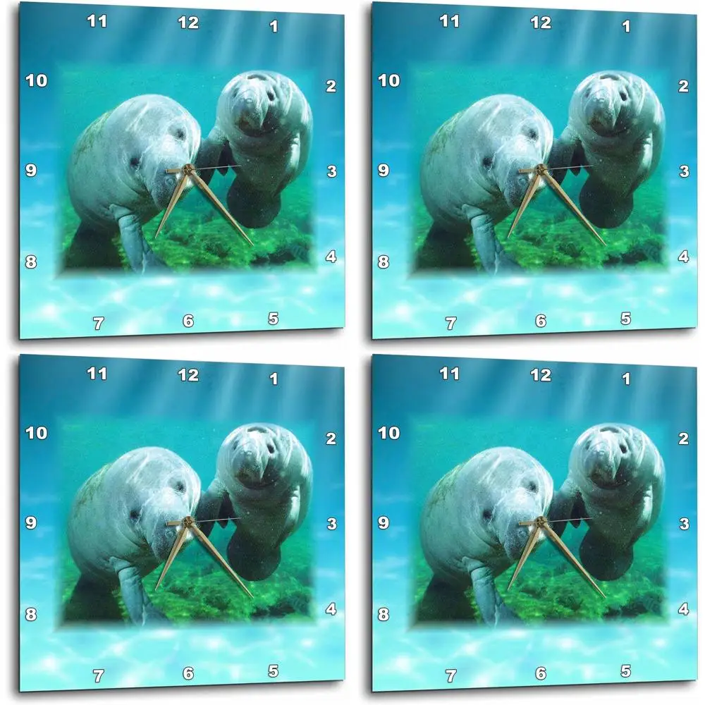 

13x13 Inch Manatee Duo Wall Clock - Eye-Catching Timepiece