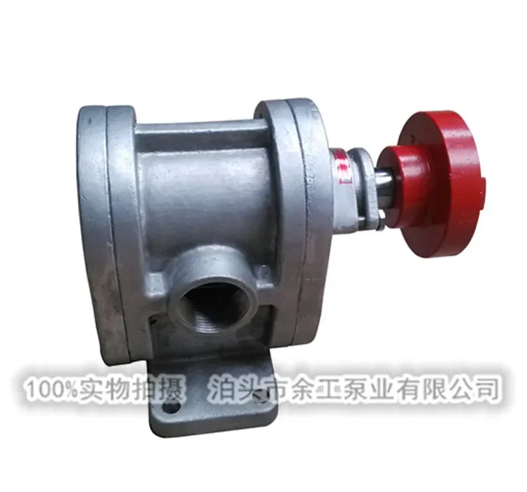 2CY stainless steel gear oil pump food pump chemical pump motor unit