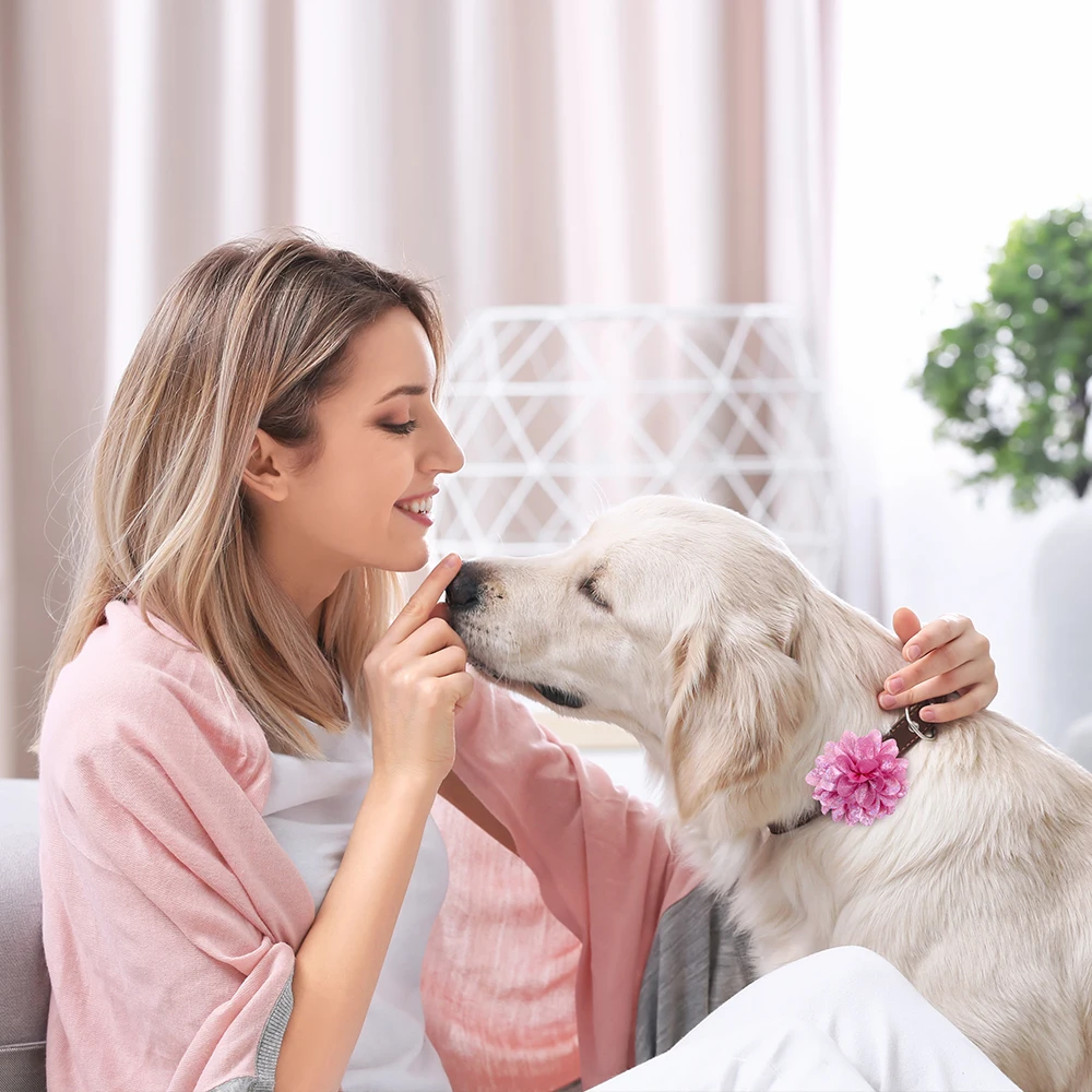 50 Buah Kerah Bunga Musim Semi Persediaan Anjing Slidable Anjing Dasi Kupu-kupu Hewan Peliharaan Kerah Anjing Peliharaan Pesona Kerah Produk Hewan Peliharaan untuk Anjing Peliharaan Dasi Kupu-kupu