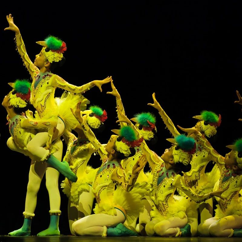 

Troupial Magpie Bird Dance Costumes For Girls Halloween Clothing Birds Dancing School Performance Clothes