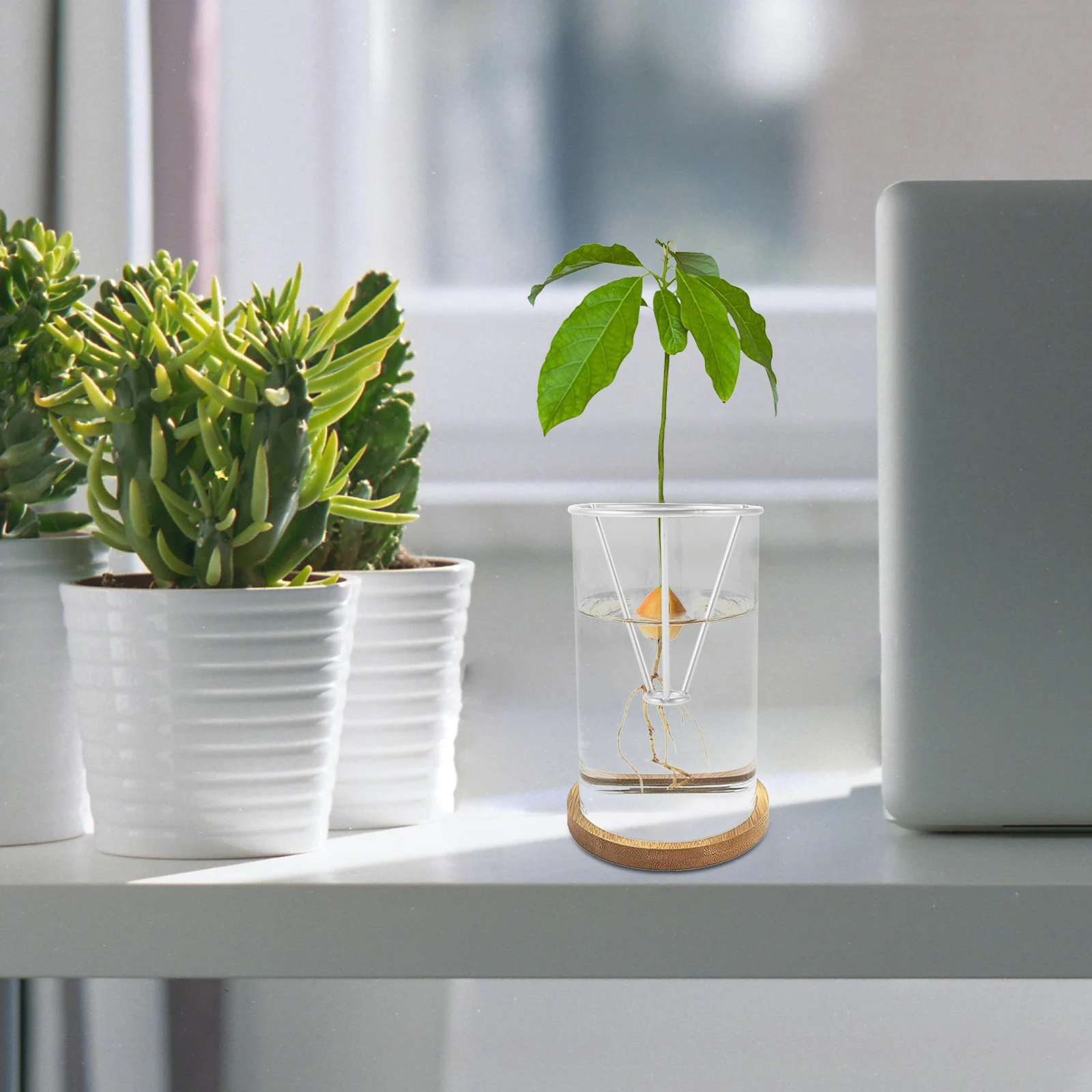 

Hydroponic Plant Fixator Iron Seed Holder Stand Tripod for Sprouting Avocado Bottle Growing Vase Base Dual Ring Design Stable