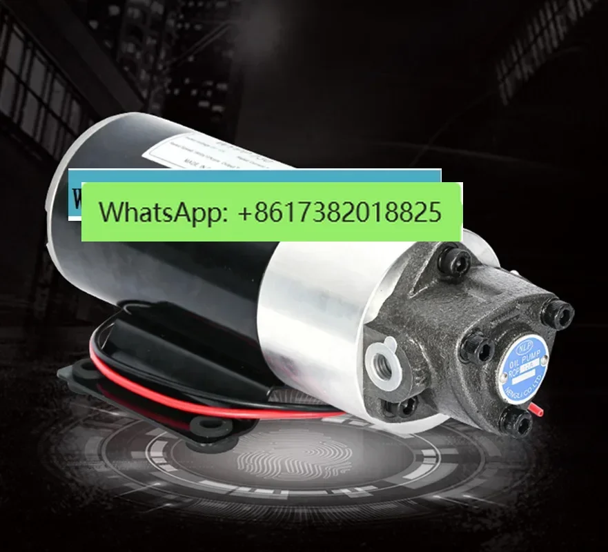 DC 12V/24V AC 220V Small DC Gear Oil Pump Refueling Machine