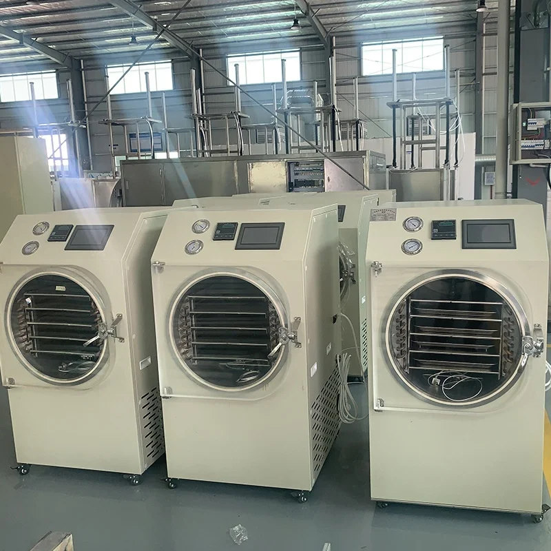 2025 Nowa suszarka mrożąca, mała laboratoryjna suszarka próżniowa, suszarka mrożąca do owoców, Cordyceps, suszarka mrożąca do ptasich gniazd